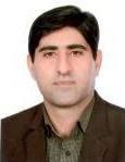 کورش ویسی